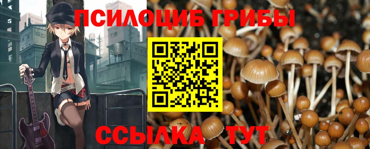 Псилоцибиновые грибы мухоморы Калуга