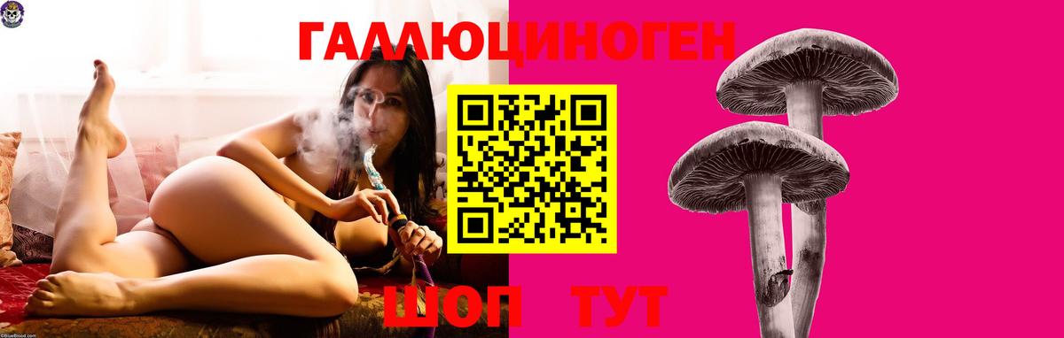 Калуга  Галлюциногенные грибы прущие грибы  Вход с VPN 